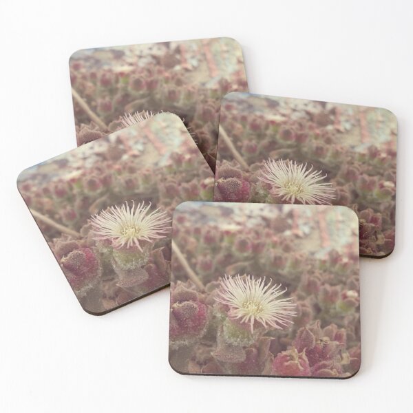 Item preview, Succulent Flower Blooming designed and sold by Nalinne Jones.
