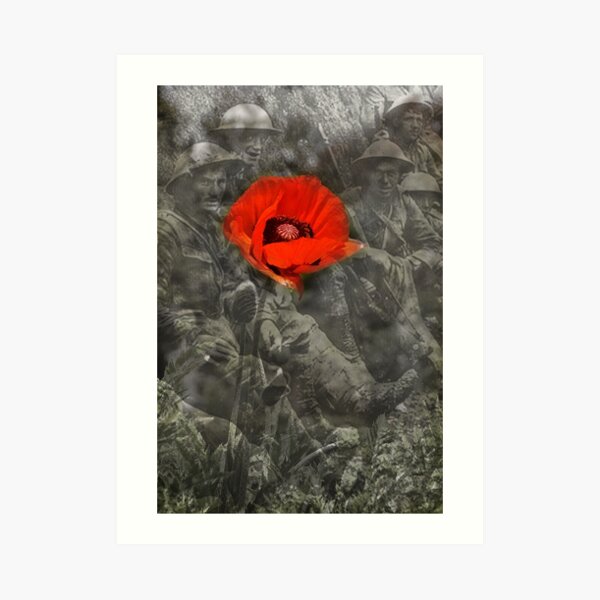 In Flanders Fields Art Print
