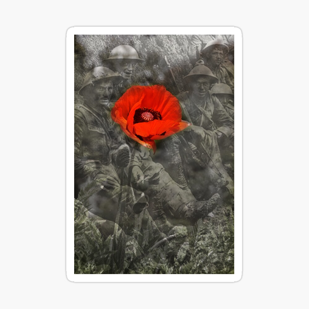 In Flanders Fields Poem Poster