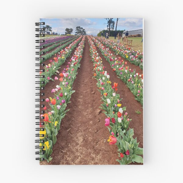 Artikelvorschau, Tulpenfest entworfen und verkauft von Crafternoons.