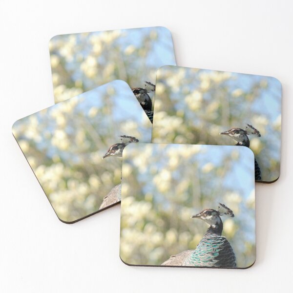Item preview, female peahen designed and sold by iago rodriguez dopico.