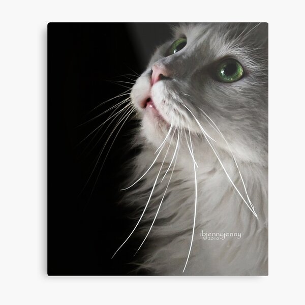 The Only Thing I Hear Metal Print