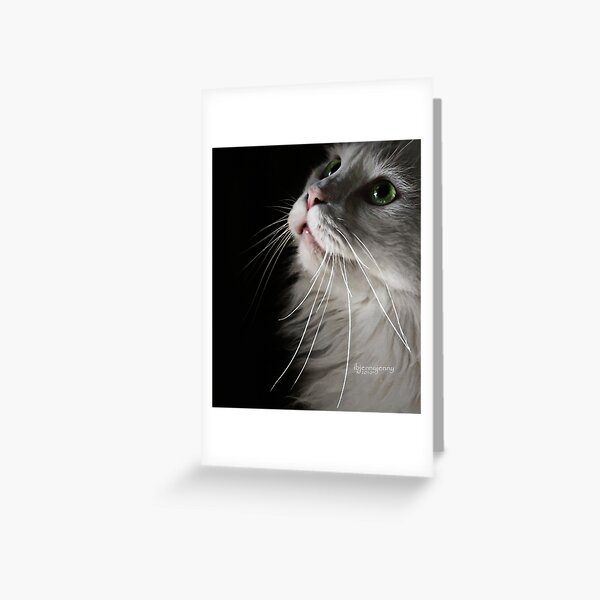The Only Thing I Hear Greeting Card