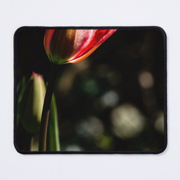 Item preview, Single red tulip designed and sold by Gerry Walden.