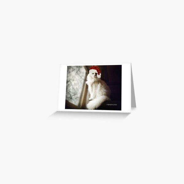 Meowy Christmas Greeting Card