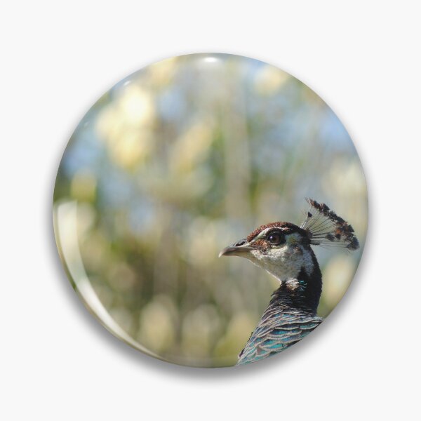 Item preview, female peahen designed and sold by iago rodriguez dopico.