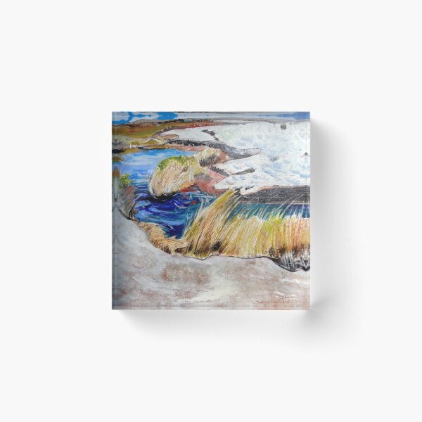 water is life - brolga springs Acrylic Block
