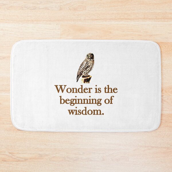 Item preview, Wonder Is The Beginning Of Wisdom designed and sold by CrankyOldDude.