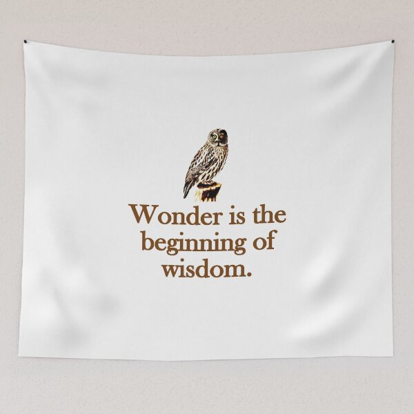 Item preview, Wonder Is The Beginning Of Wisdom designed and sold by CrankyOldDude.