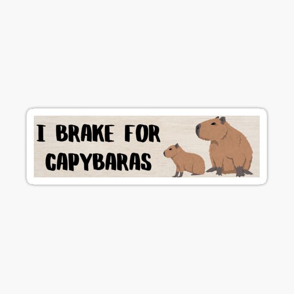 I brake for capybaras bumper sticker  Sticker for Sale by Allison Sharaf