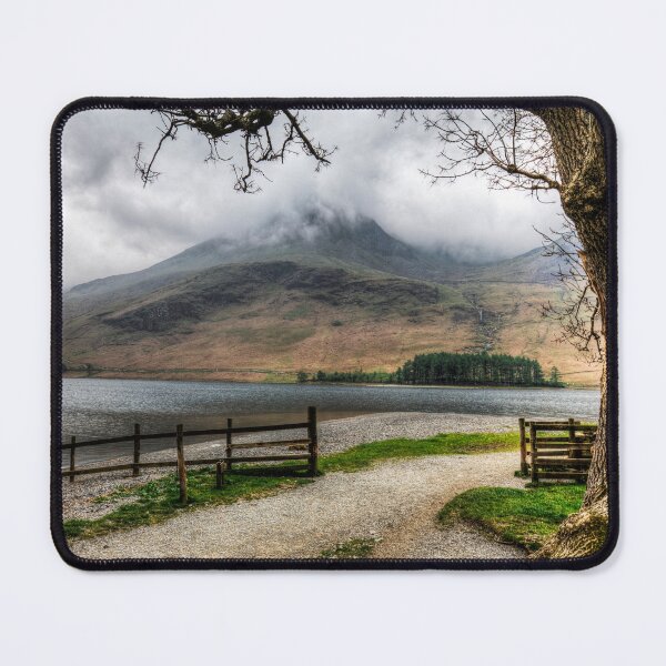 Item preview, Brothers Water Oak Tree, Cumbrian Lake District designed and sold by Paul Thompson Photography.