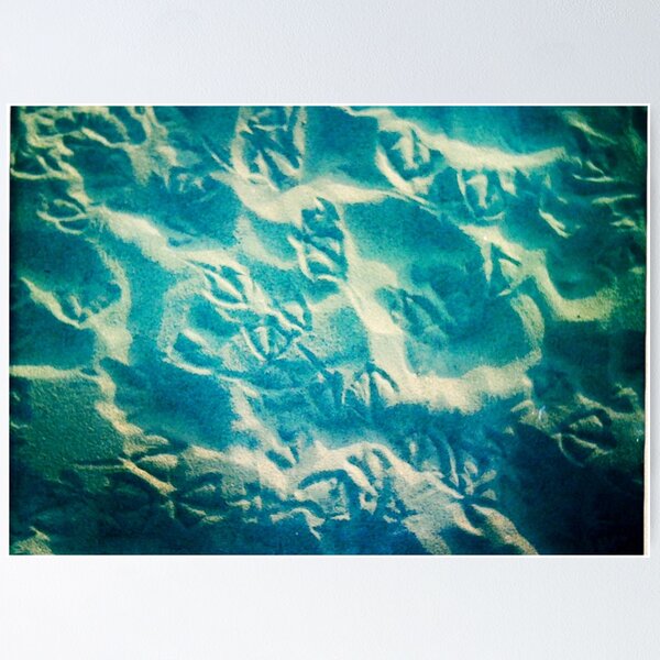 Item preview, Seagull Prints in the Sand designed and sold by Nalinne Jones.