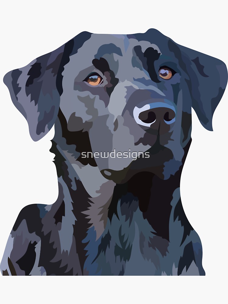 "Black Labrador 2" Sticker for Sale by snewdesigns Redbubble