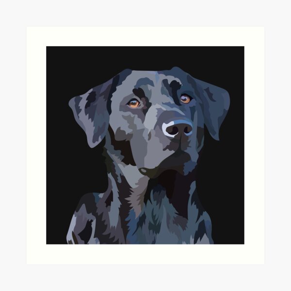 Black Labrador 2 Art Print