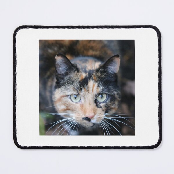 Item preview, cat photo 108 designed and sold by GrangehillCrea.