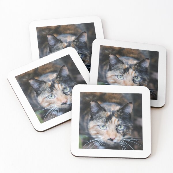 Item preview, cat photo 108   designed and sold by GrangehillCrea.
