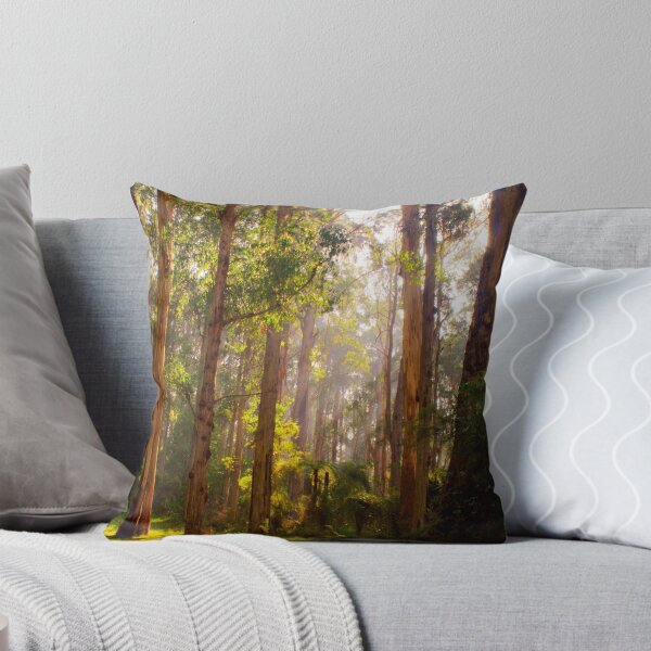 Item preview, Beams of light stream through the trees at Olinda Falls in portrait designed and sold by Elana Bailey.