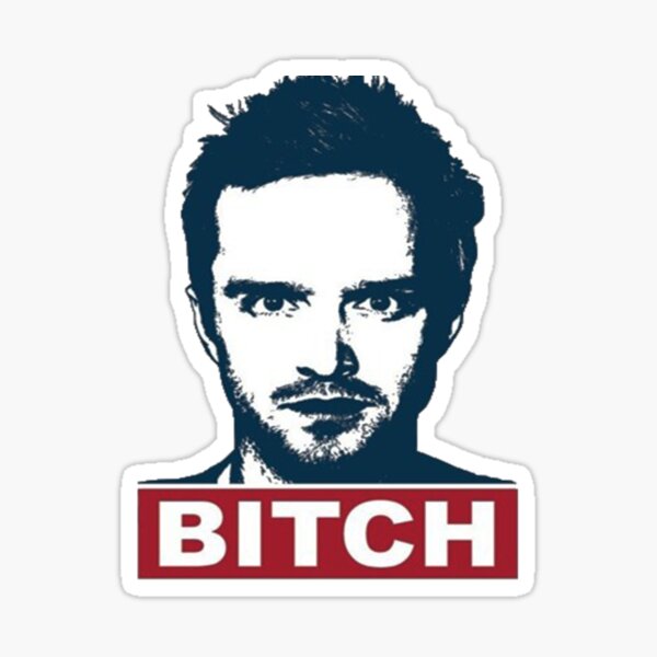 Breaking Bad Jesse Pinkman Bitch Sticker For Sale By Yonnewilliam Redbubble 8739