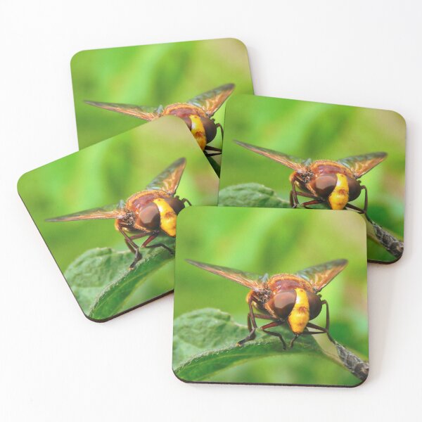 Item preview, Hornet Mimic Hover fly  designed and sold by Paws and Ink Art.