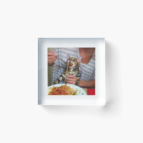 Aperçu de l'œuvre Chat qui mange des spaghettis créée et vendue par ALAEEDDINEBHM.