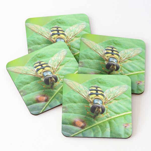 Item preview, Hover fly macro Insect designed and sold by Paws and Ink Art.