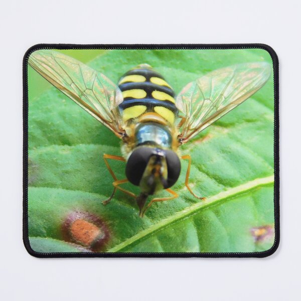Item preview, Hover fly macro Insect designed and sold by Paws and Ink Art.