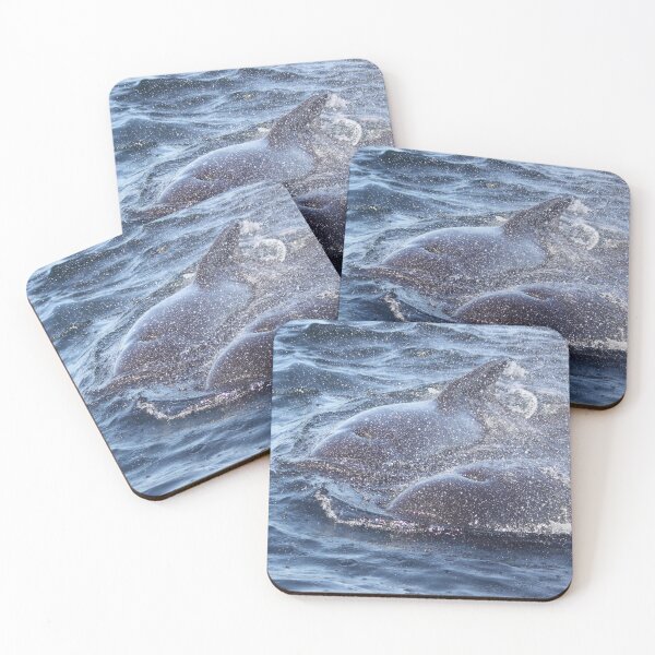 Item preview, Pilot whales - Cape Breton, Canada designed and sold by edojan-nl.