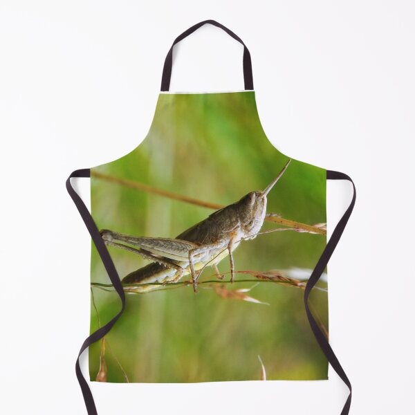 Item preview, Grasshopper designed and sold by Paws and Ink Art.