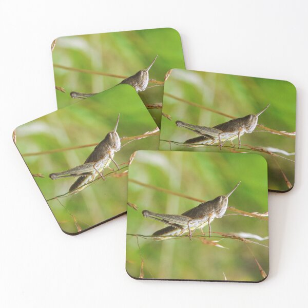 Item preview, Grasshopper designed and sold by Paws and Ink Art.