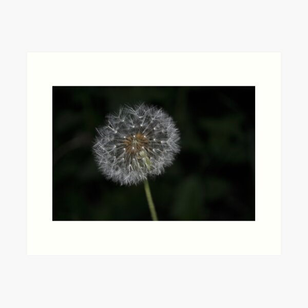 Good wishes Art Print
