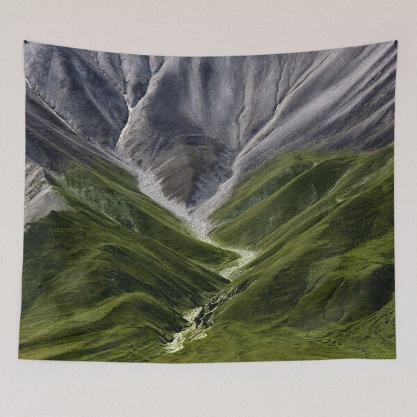 Item preview, Denali NP, Close up designed and sold by edojan-nl.