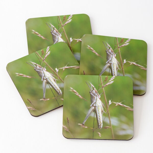 Item preview, Grasshopper Hanging About designed and sold by Paws and Ink Art.