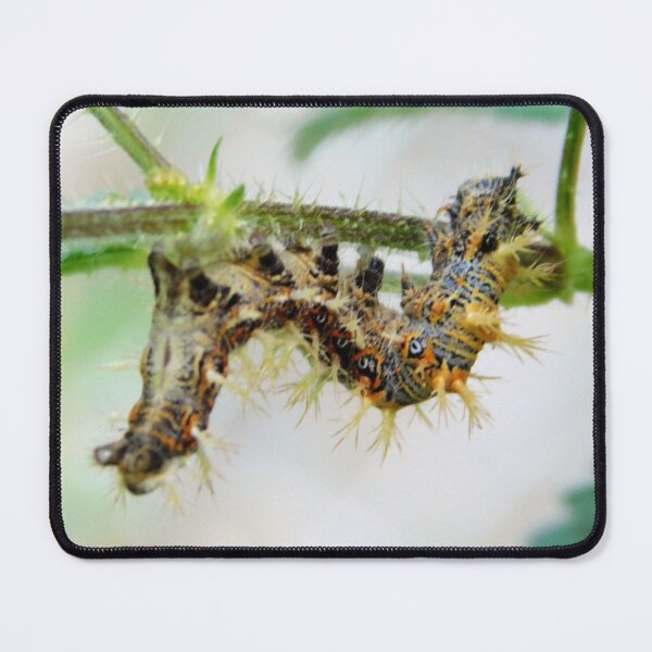 Item preview, Caterpillar of the Comma Butterfly designed and sold by Paws and Ink Art.