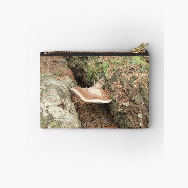 Aperçu de l'œuvre Champignons sur l'arbre créée et vendue par Darrenadie.