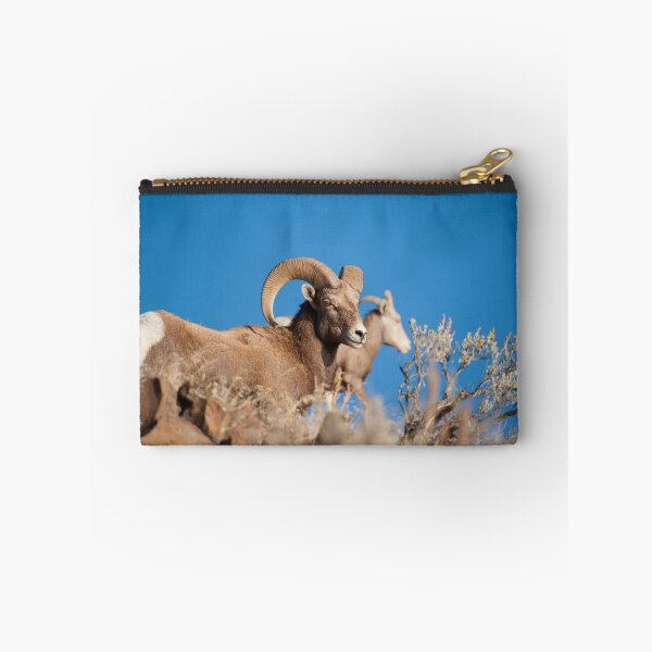 Aperçu de l'œuvre Ram et Ewe. créée et vendue par ddeweyphoto.