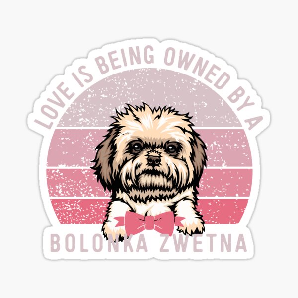 "Bolonka Zwetna Love Pink Vintage Sunset Valentine" Sticker for Sale by