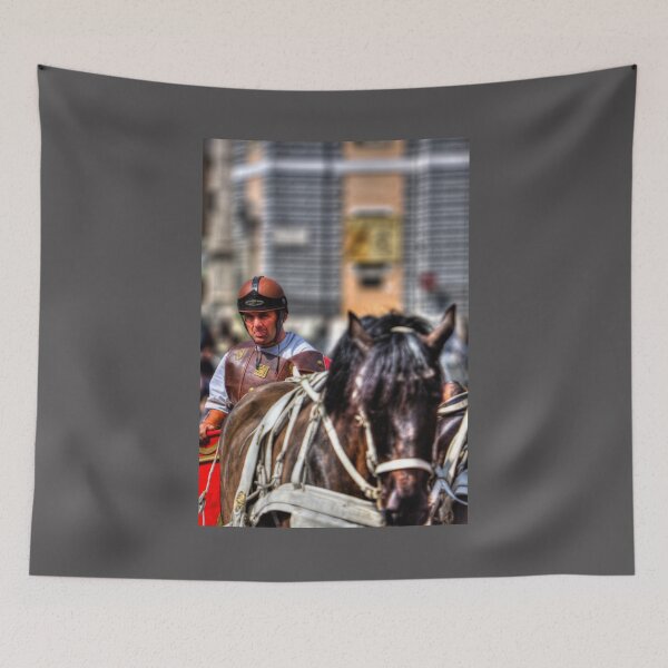 Item preview, Centurion And His Chariot designed and sold by Paul Thompson Photography.