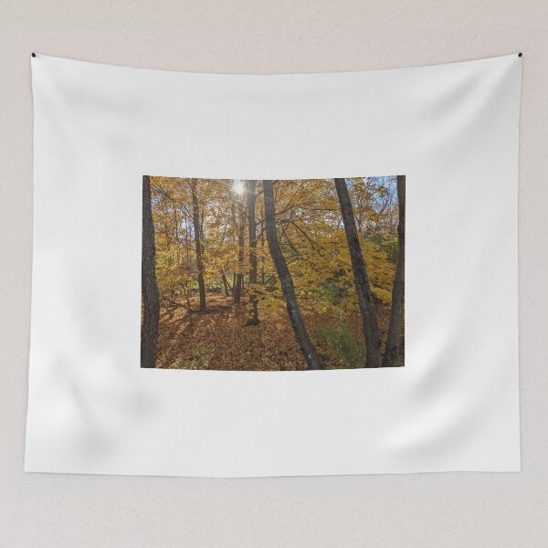 Item preview, North Michigan Woods in Autumn designed and sold by UPNortheren.