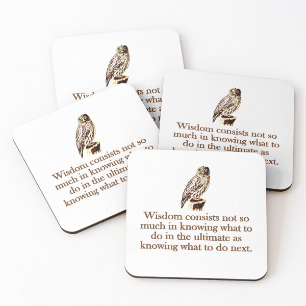 Item preview, Wisdom Consists Not So Much designed and sold by CrankyOldDude.