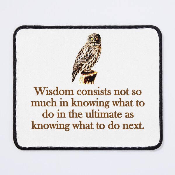 Item preview, Wisdom Consists Not So Much designed and sold by CrankyOldDude.