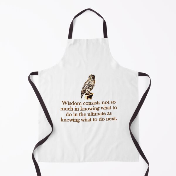 Item preview, Wisdom Consists Not So Much designed and sold by CrankyOldDude.