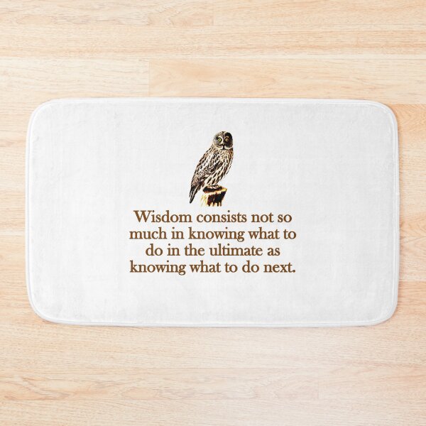 Item preview, Wisdom Consists Not So Much designed and sold by CrankyOldDude.