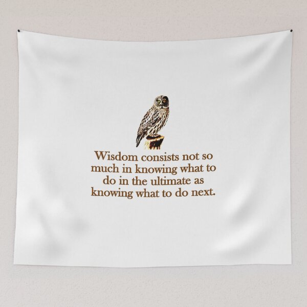 Item preview, Wisdom Consists Not So Much designed and sold by CrankyOldDude.