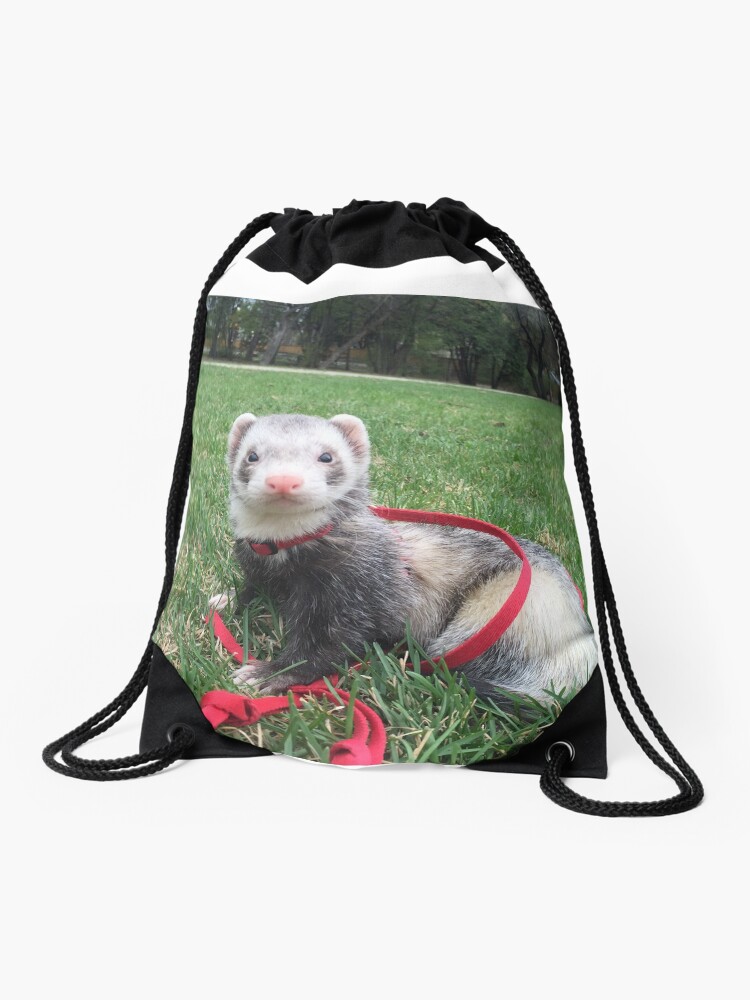 ferret bag