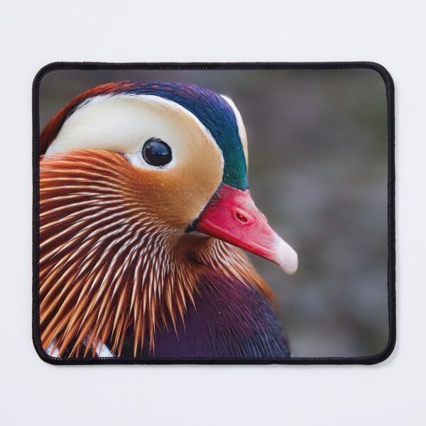 Item preview, Mr Mandarin designed and sold by Julie Wilkinson.