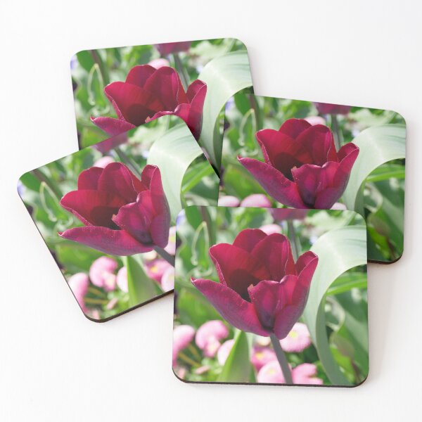 Item preview, nature, flora, spring, tulips, red, photography, bebicervin designed and sold by BebiCervin.