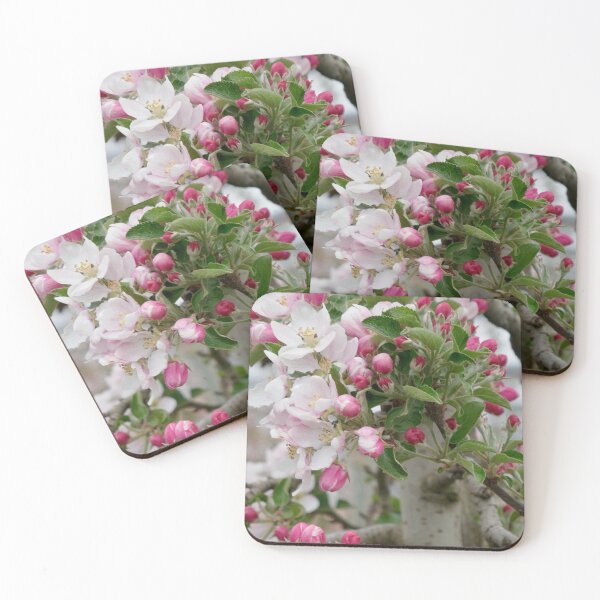Item preview, Nature, Spring, Europe, Switzerland, Thurgau, Fruit Trees, Blossom, Photography, Bebicervin designed and sold by BebiCervin.