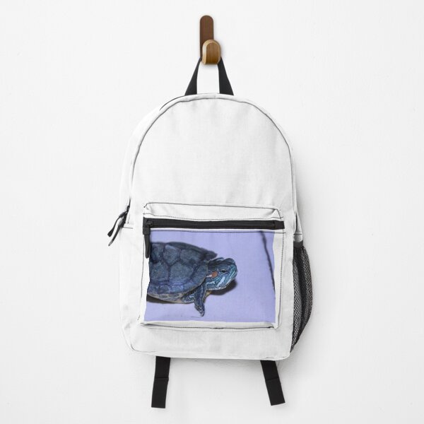 Item preview, Tobi Turtle Souvenir designed and sold by PechaanStore.