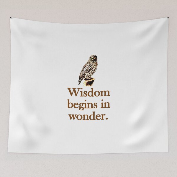 Item preview, Wisdom Begins In Wonder designed and sold by CrankyOldDude.