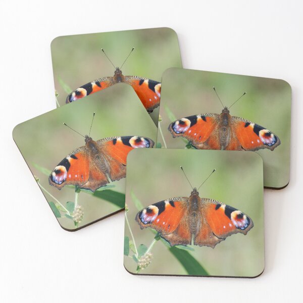 Item preview, Aglais io designed and sold by iago rodriguez dopico.